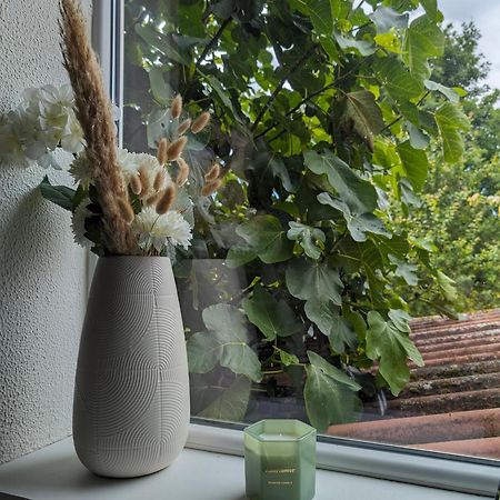 Evasion Verte En Alsace ! Niederschaeffolsheim Kültér fotó